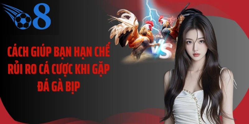 Cách giúp bạn hạn chế rủi ro cá cược khi gặp đá gà bịp